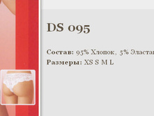 095ds.jpg