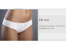 106ds.jpg