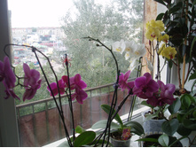 P1010125.JPG