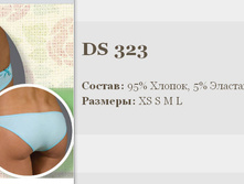 323ds.jpg