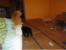 DSC07450.JPG