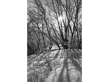 11.01.2010 23:29:36