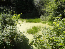 DSCN1380.JPG