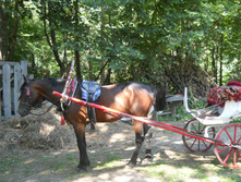 DSCN1399.JPG