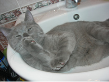 DSCN3941.JPG