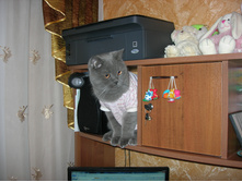 DSCN4753.JPG