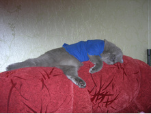 DSCN5034.JPG