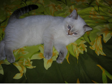 DSCN5840.JPG