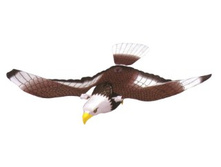 591	����	350  �