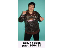 113545.jpg
