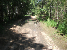 DSCF1447.JPG