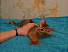 DSC02727.JPG