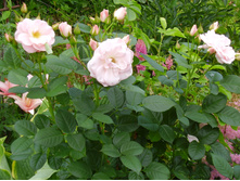 ����������P7060015.JPG