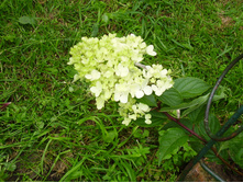 ���� ���� 2012 �P7060020.JPG