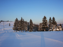 18.01.2010 10:58:48