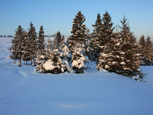 18.01.2010 11:00:12