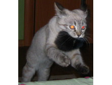 21.01.2010 22:26:31