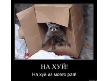 77.jpg