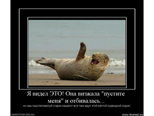 80.jpg