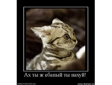 91.jpg