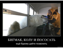 99.jpg