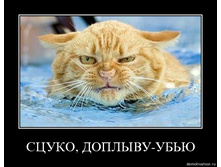 1239988172_waa1bi8ssyiv.jpg