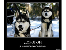1244550067_9j8g64wkwil3.jpg