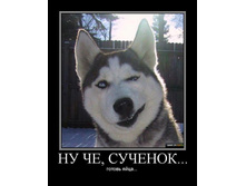 1222316160260.jpg