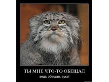 i8ubbxhviu0h.jpg