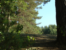 DSC01269.JPG