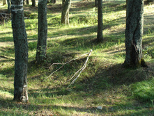 DSC01273.JPG