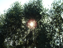 DSC01293.JPG