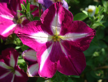 DSC01313.JPG