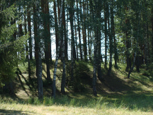 DSC01323.JPG