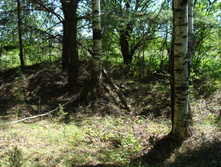 DSC01331.JPG