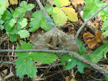 DSC01338.JPG