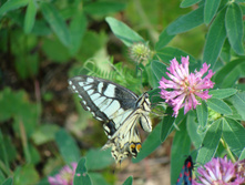 DSC01354.JPG