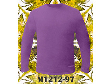 1212-97 dodogood, 550�.jpg