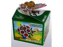 gvozdika_v_gorshke.jpg