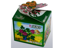 klever_v_gorshke.jpg