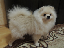 DSCN1511.JPG
