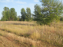 DSCN1611.JPG