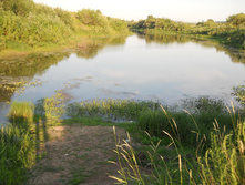 DSCN1615.JPG