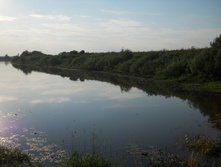DSCN1616.JPG