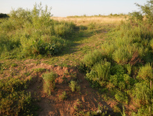 DSCN1618.JPG