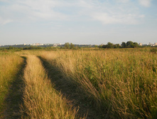 DSCN1619.JPG