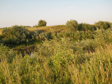 DSCN1620.JPG