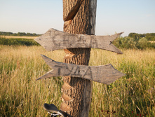 DSCN1622.JPG