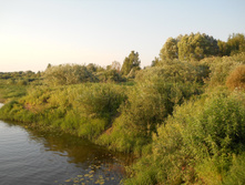 DSCN1627.JPG