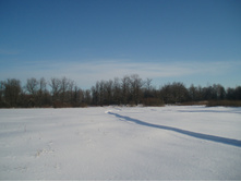 24.01.2010 17:35:54